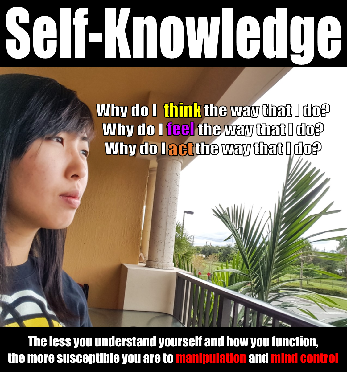 Self Knowledge Meme